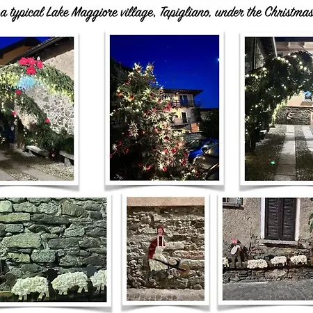 Lovely Apartment In Tapigliano, 80 M² With Terrace Appartement